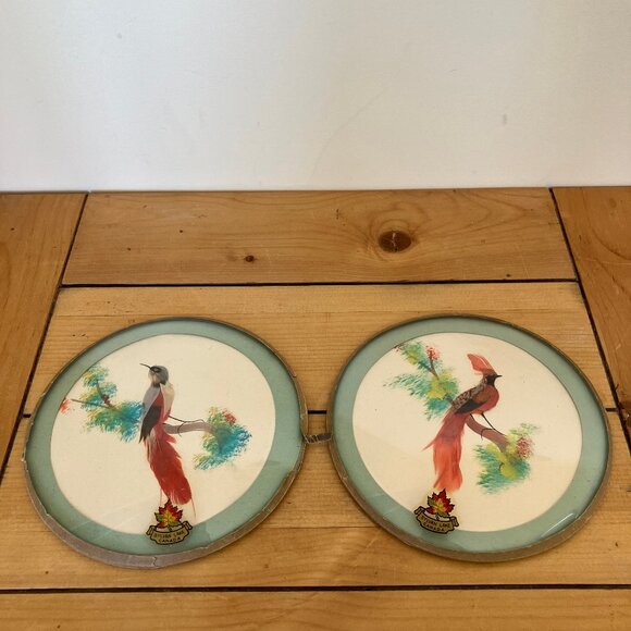 Bird Feathercraft Feather Painting Folk Art Pictures Set of 2 Domed Glass 6.5" - Picture 1 of 4